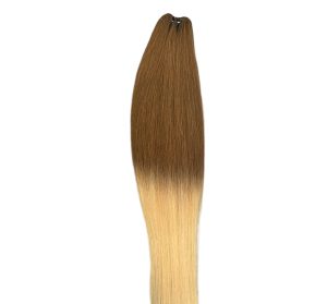 Brown/Blonde 2 tone