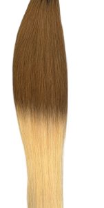 Brown/Blonde 2 tone